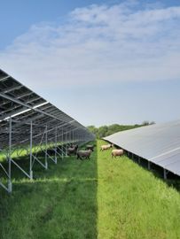 Agrivoltaïsme en élevage ovin Solutions agrivoltaïques d'Energiter aux spécificités de l’élevage ovin ou bovin, de l’arboriculture, de la vigne ou des grandes cultures.
