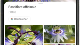 Une application pour connaître rapidement la valeur d’un objet dans les brocantes. Une application pour connaître rapidement la valeur d’un objet dans les brocantes.