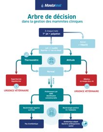 Mastatest : arbre de décision Arbre de décision dans la gestion des mammites cliniques