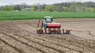 Dans plusieurs zones, il faudra attendre le début du mois de juin pour finir les implantations de maïs sur des sols suffisamment ressuyés. Dans plusieurs zones, il faudra attendre le début du mois de juin pour finir les implantations de maïs sur des sols suffisamment ressuyés.