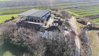 Depuis 2011, Giovanni Zangrandi à Monticelli sème du maïs, irrigué, entre ses panneaux implantés à 5 mètres de hauteur, il récolte 120 quintaux par hectare. Depuis 2011, Giovanni Zangrandi à Monticelli sème du maïs, irrigué, entre ses panneaux implantés à 5 mètres de hauteur, il récolte 120 quintaux par hectare.