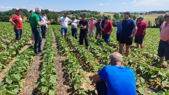 Les agriculteurs sont accompagnés, notamment en groupe, sur les changements de leurs pratiques. Cet aspect collectif est une habitude chez Agro d'Oc, qui regroupe 52 Ceta.