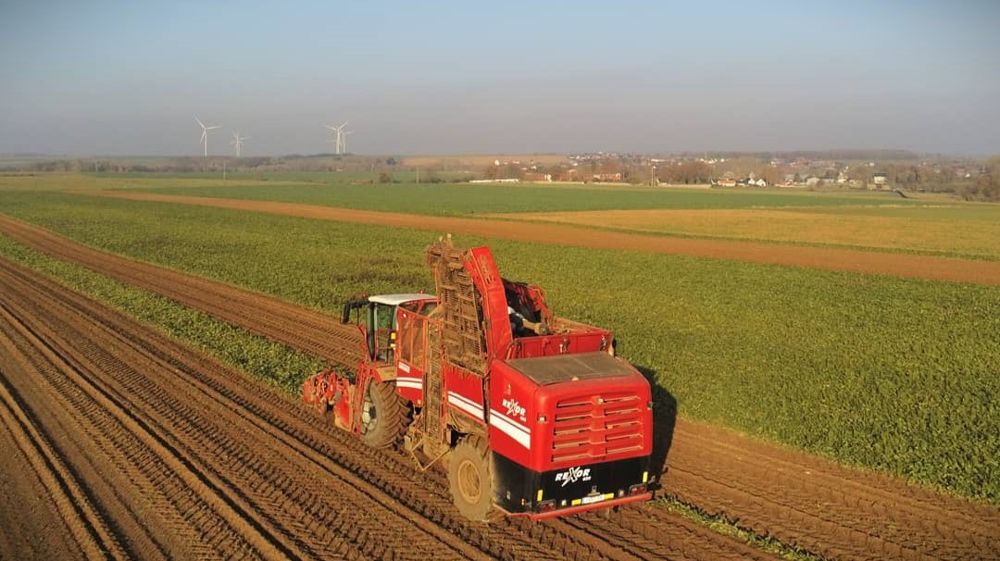 Le prix des betteraves sucrières achetées aux 10 700 agriculteurs coopérateurs du groupe Tereos est passé à 48,16 €/t en 2024, contre 43,1 €/t en 2023