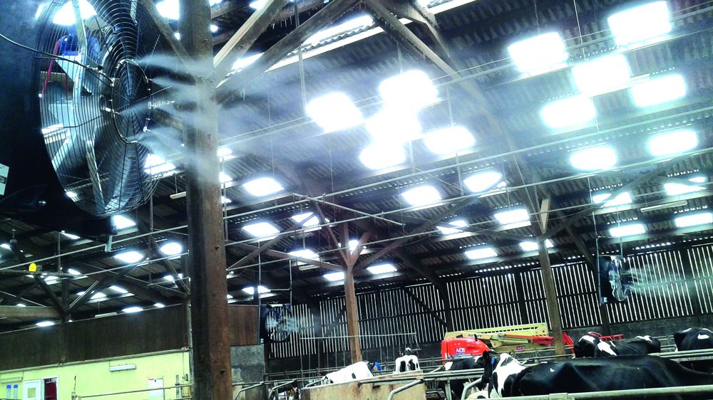 Assurer le bien-être de vos animaux avec la ventilation de votre bâtiment