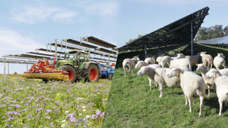 Élever des moutons ou cultiver des céréales à l’ombre de panneaux solaires sont désormais possibles grâce au cadre réglementaire offert par le décret d’application du 8 avril 2024 sur l'agrivoltaïsme. Élever des moutons ou cultiver des céréales à l’ombre de panneaux solaires sont désormais possibles grâce au cadre réglementaire offert par le décret d’application du 8 avril 2024 sur l'agrivoltaïsme.
