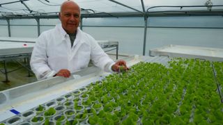 A pleine capacité, Babylone Growers produira 5,5 millions de salades par an sur un hectare, soit l’équivalent d’une production maraichère en terre de 40 ha, explique Taoufik Tahar, co-créateur de l'entreprise. A pleine capacité, Babylone Growers produira 5,5 millions de salades par an sur un hectare, soit l’équivalent d’une production maraichère en terre de 40 ha, explique Taoufik Tahar, co-créateur de l'entreprise.