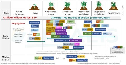 Exemples de programmes pour gérer le mildiou en début de campagne pomme de terre Exemples de programmes pour gérer le mildiou en début de campagne pomme de terre