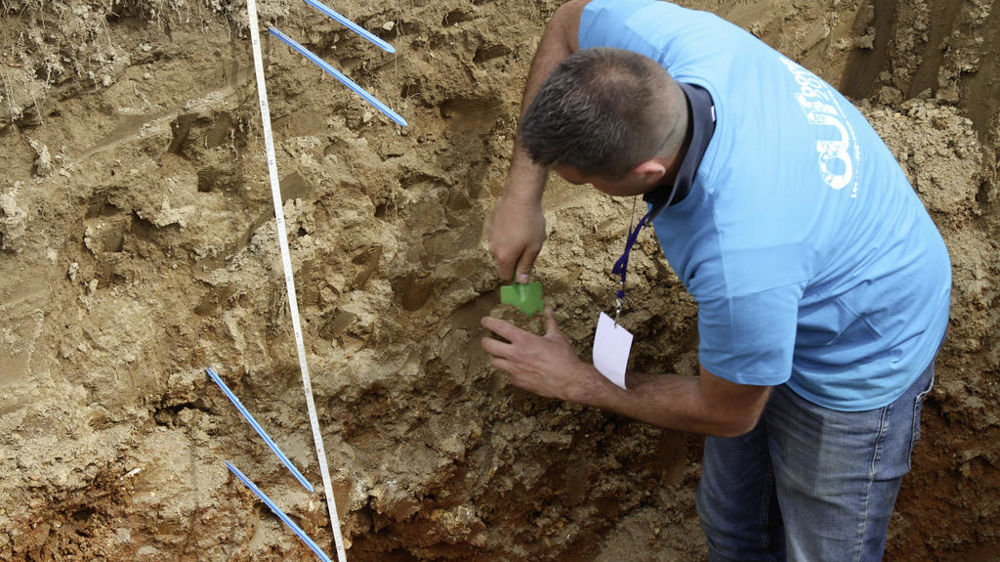 Une plante de blé idéale pour l’agroécologie est capable d’explorer le sol et d’y produire des symbioses.