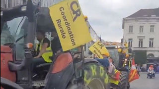 La Coordination rurale a rejoint un rassemblement d'agriculteurs à Bruxelles afin de s'opposer aux exigences environnementales de la politique agricole commune et aux accords de libre-échange.