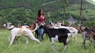 Depuis vingt-cinq ans, Angélique Doucet suit un leitmotiv : « Mon activité agricole tire parti de l'environnement sans le bouleverser, en essayant de l'embellir et en le partageant », résume-t-elle. Depuis vingt-cinq ans, Angélique Doucet suit un leitmotiv : « Mon activité agricole tire parti de l'environnement sans le bouleverser, en essayant de l'embellir et en le partageant », résume-t-elle.