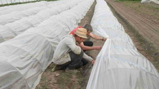 Les espaces tests agricoles sont des sites qui proposent un cadre innovant afin de vérifier la faisabilité et la viabilité d’un projet d’installation en débutant une activité de production en conditions réelles, mais dans un cadre sécurisé. Les espaces tests agricoles sont des sites qui proposent un cadre innovant afin de vérifier la faisabilité et la viabilité d’un projet d’installation en débutant une activité de production en conditions réelles, mais dans un cadre sécurisé.