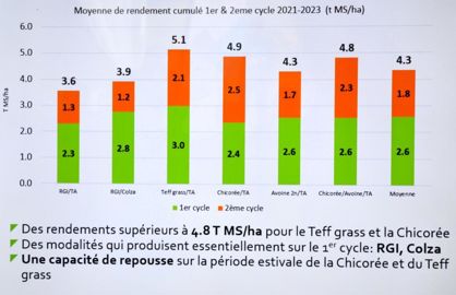 Rendement interculture au pâturage