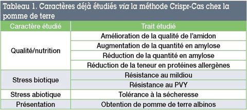 Caractères déjà étudiés via la méthode Crispr-Cas chez la pomme de terre
