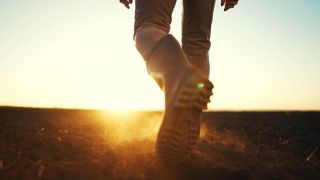 Quels avantages et inconvénients d'une formation bac+5 pour devenir éleveur ? Quels freins spécifiques à l'installation et regard sur le métier ? Quels avantages et inconvénients d'une formation bac+5 pour devenir éleveur ? Quels freins spécifiques à l'installation et regard sur le métier ?