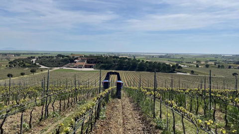 Des robots électriques Bakus sont déjà utilisés dans des vignes italiennes. Des robots électriques Bakus sont déjà utilisés dans des vignes italiennes.