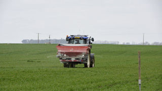 Dans un rapport publié le 13 juin 2024, la FAO estime que la disponibilité en azote, phosphore et potassium devrait s’améliorer pour les six prochains mois. Dans un rapport publié le 13 juin 2024, la FAO estime que la disponibilité en azote, phosphore et potassium devrait s’améliorer pour les six prochains mois.