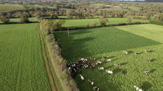 Pour l'aide à la conversion à l'agriculture biologique (CAB), le chargement est calculé à partir d'animaux en conversion ou bio à partir de la troisième année. Pour l'aide à la conversion à l'agriculture biologique (CAB), le chargement est calculé à partir d'animaux en conversion ou bio à partir de la troisième année.