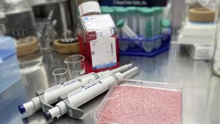 Ce nouveau riz, cultivé en laboratoire par des chercheurs de l’université Yonsei de Séoul, contient des cellules de muscle et de graisse de bœuf. Ce nouveau riz, cultivé en laboratoire par des chercheurs de l’université Yonsei de Séoul, contient des cellules de muscle et de graisse de bœuf.