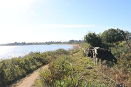 La loi sur le climat a étendu le droit de préemption dans les espaces sensibles.