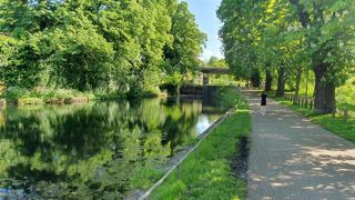 Selon l'étude, 447 M€ de dépenses en soins médicaux et hospitaliers auraient été évitées en France en 2023 grâce aux espaces verts via la baisse des maladies chroniques et des visites à l’hôpital.