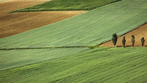La vente de parcelles agricoles de moins de 15 000 euros n'est pas soumise à la taxation sur les plus-values. La vente de parcelles agricoles de moins de 15 000 euros n'est pas soumise à la taxation sur les plus-values.