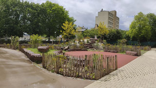 Un bel exemple de désimperméabilisation et de végétalisation dans la cour du groupe scolaire Clémenceau. La comparaison avec la vue du site d'origine (voir photo ci-contre) permet d'apprécier cette transformation.