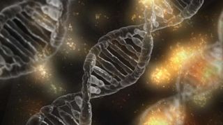 Le 26 juin 2024, les États membres de l’Union Européenne ne sont pas parvenus à un consensus sur le projet de règlement relatif aux nouvelles techniques génomiques (NGT). Le 26 juin 2024, les États membres de l’Union Européenne ne sont pas parvenus à un consensus sur le projet de règlement relatif aux nouvelles techniques génomiques (NGT).