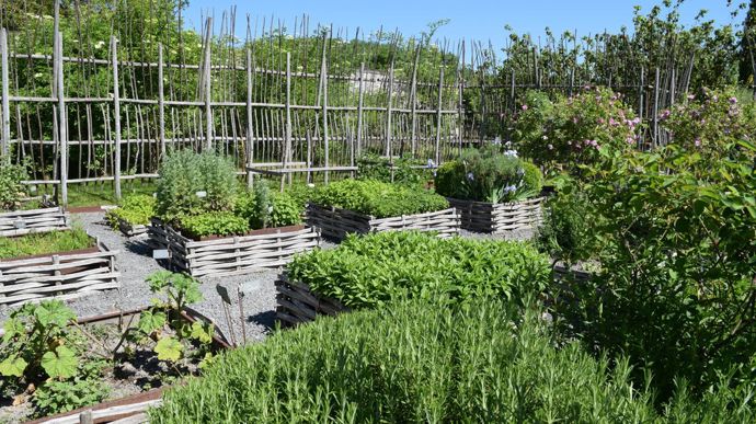 Le jardin des potagers