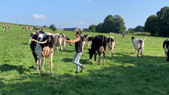 Les exploitations laitières émettent 80% des gaz à effets de serre de la filière. Elles sont donc au centre des débats dans le cadre des démarches RSE des industriels.