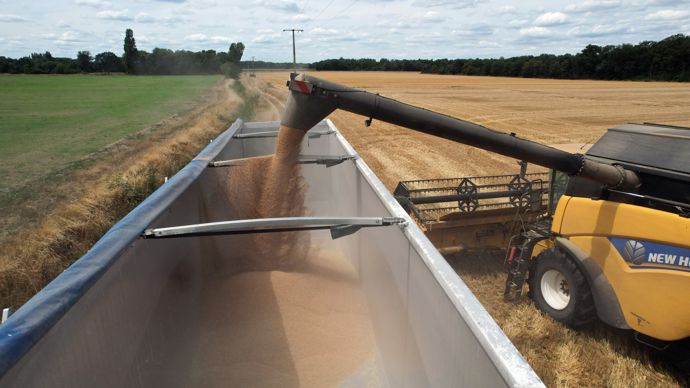 Le rendement du blé tendre est évalué en nette baisse, à 69,9 q/ha par Agreste, voire à 64 q/ha par Arvalis et Intercéréales.