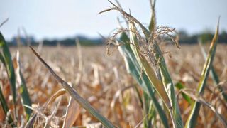 Juin 2024 devient le mois le plus chaud jamais enregistré. Juin 2024 devient le mois le plus chaud jamais enregistré.
