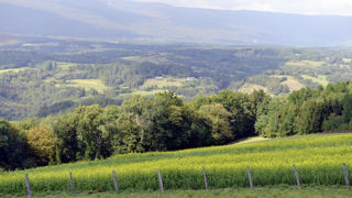 Pour bénéficier de l'ICHN animale, le demandeur doit détenir l'équivalent d'au moins 5 UGB herbivores (ou porcines en zones de montagne). Pour bénéficier de l'ICHN animale, le demandeur doit détenir l'équivalent d'au moins 5 UGB herbivores (ou porcines en zones de montagne).