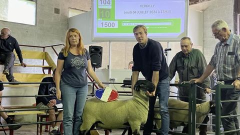 Le champion suffolk de 2024 de la station de l'rganisation de sélection du Nord a aussi obtenu le top-price de la vente aux enchères. Il est parti à 2 560 €. Le champion suffolk de 2024 de la station de l'rganisation de sélection du Nord a aussi obtenu le top-price de la vente aux enchères. Il est parti à 2 560 €.