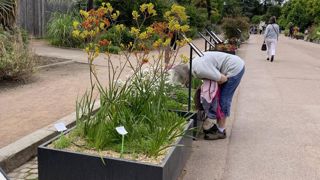 66 minijardins de démonstration sont disposés le long d’une allée à l’une des entrées du parc de la Tête d’Or à Lyon. Les carrés et les QR codes mériteraient un petit lifting mais les citadins de tous âges continuent de s’arrêter pour lire les panneaux, sentir les fragrances et prendre des photographies ou des selfies.