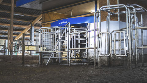 Robot de traite VMS de Delaval. Robot de traite VMS de Delaval.