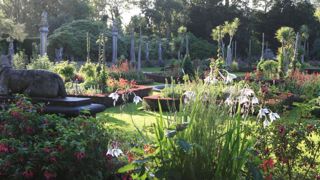 Le journaliste, reporter et photographe Georges Lévêque cède son importante documentation sur la nature et les jardins.