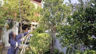 La lutte s'organise partout, y compris dans les jardins des particuliers. La lutte s'organise partout, y compris dans les jardins des particuliers.