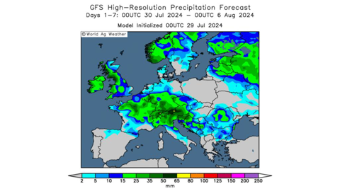 Les modèles météo annoncent des pluies à sept jours.