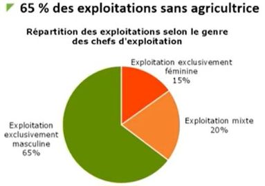 Part d'exploitations avec une ou plusieurs femmes cheffes d'exploitation en Bretagne