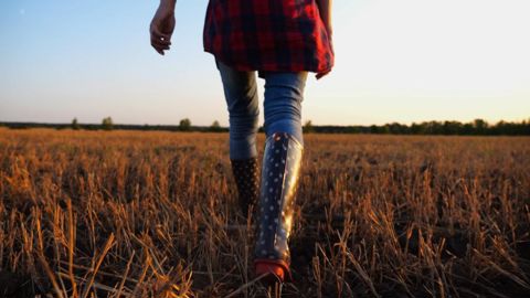 Vous êtes agricultrices, jeunes installées ou depuis plus longtemps, partagez votre expérience en commentaire ! Vous êtes agricultrices, jeunes installées ou depuis plus longtemps, partagez votre expérience en commentaire !