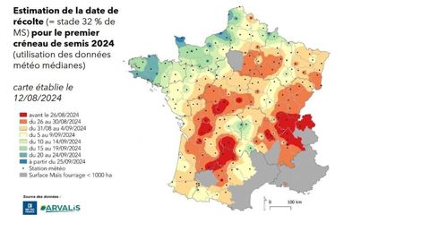 Carte de prévision des ensilages de maïs 2024 - créneau 1