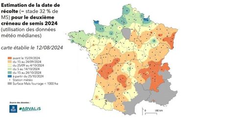 Carte de prévision des ensilages de maïs 2024 - créneau 2