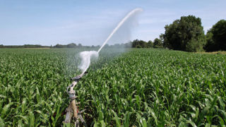 Au moins un arrêté interdisant les prélèvements agricoles est pris dans onze départements au 6 août 2024.