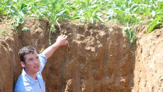 Clément Bunias, chargé de mission de la durabilité agricole à Saint Louis Sucre, constate l’amélioration rapide des sols.