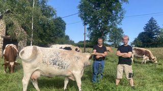 Nicolas et Samuel Verdier apprécient les qualités et la complémentarité des deux races ferrandaise et limousines. Nicolas et Samuel Verdier apprécient les qualités et la complémentarité des deux races ferrandaise et limousines.
