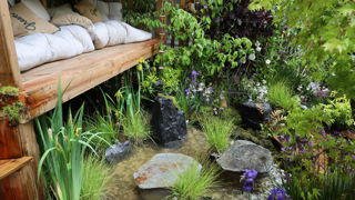 Jardins, Jardin 2024 : les petits espaces rivalisent avec les grands