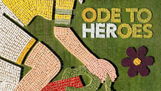 Pour redécouvrir une héroïne du cyclisme féminin, 40 producteurs néerlandais de fleurs ont réalisé une mosaïque florale représentant Mien van Bree, pionnière aux Pays-Bas. Pour redécouvrir une héroïne du cyclisme féminin, 40 producteurs néerlandais de fleurs ont réalisé une mosaïque florale représentant Mien van Bree, pionnière aux Pays-Bas.