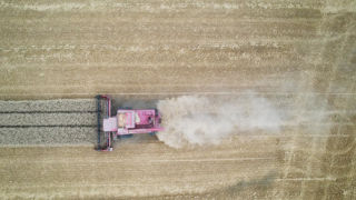 35 % des surfaces céréalières étaient concernées par une assurance récolte en 2023.