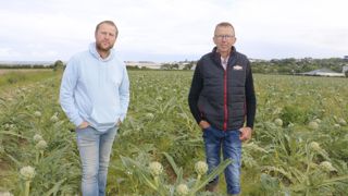 Marc Rousseau (à droite) cultive des artichauts sur 30 hectares dans le Finistère. Il est aux côtés de Christian Bernard (à gauche) agriculteur à Taulé (Finistère) et président de la section artichaut Prince de Bretagne,