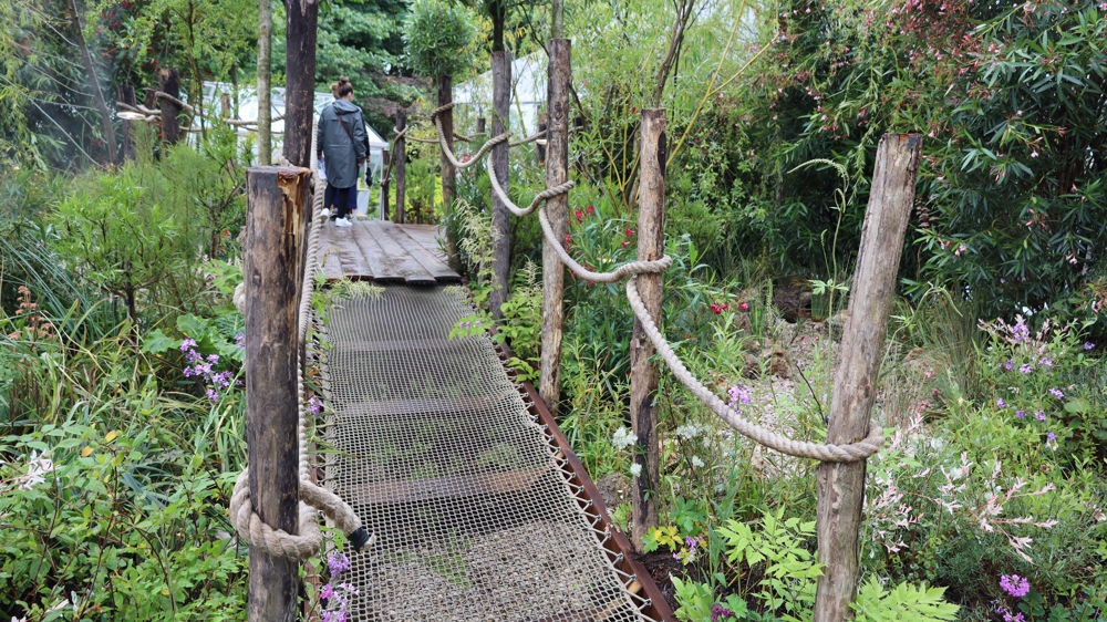 Jardins, Jardin 2024 : un hommage aux plantes rhéophytes